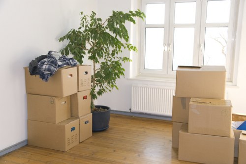 Specialist boxes for artwork, clothes, and storage items