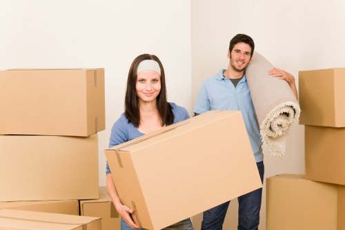 Reliable Westhampstead man with van for deliveries and small moves