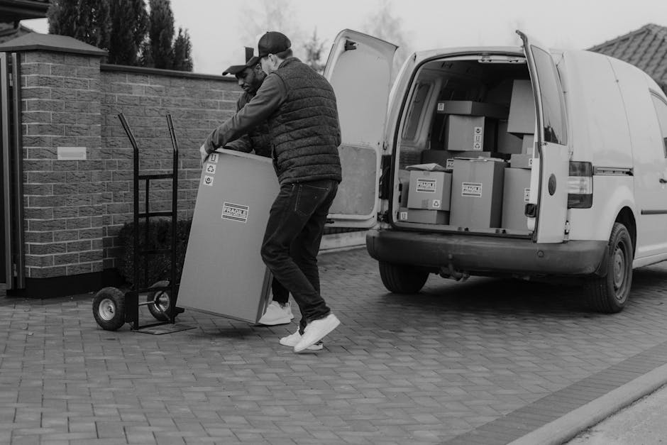 A young man with a beard and serious expression, wearing a black cap and a white polo shirt, stands inside the open rear doors of a moving van. Behind him, the van is filled with neatly stacked cardbo